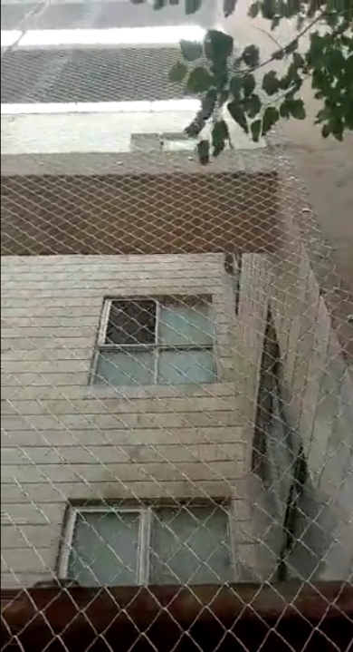 راپل